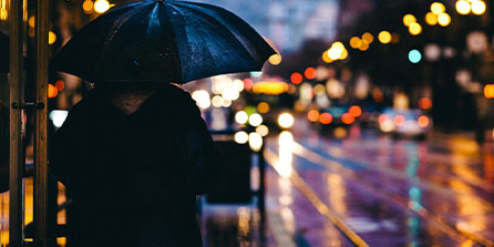 西雅图海湾者核心球员体能恢复，备战西悉尼流浪者