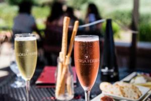 多特蒙德艰难取胜，展望晋级机会