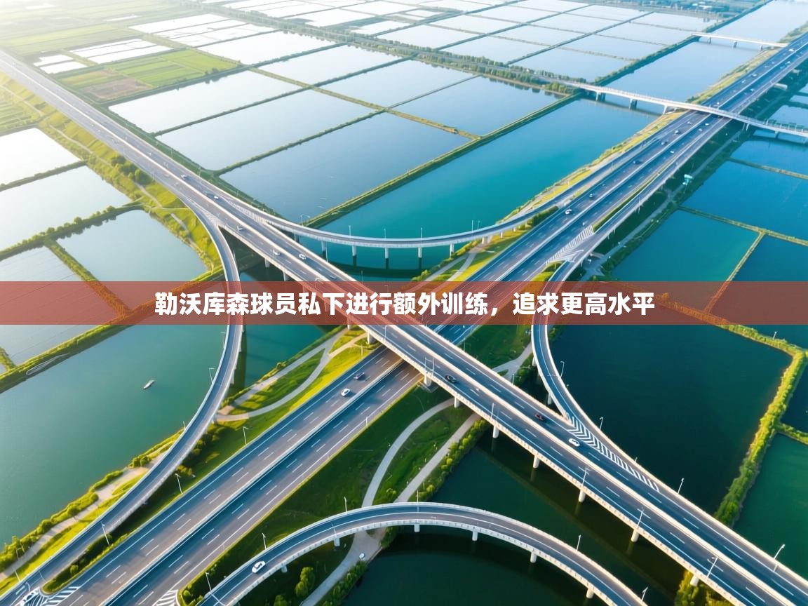 勒沃库森球员私下进行额外训练，追求更高水平